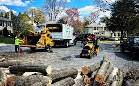 Best Aeration Services  in Oradell, NJ