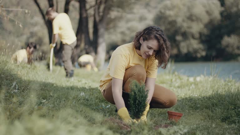 Best Weed Control  in Oradell, NJ