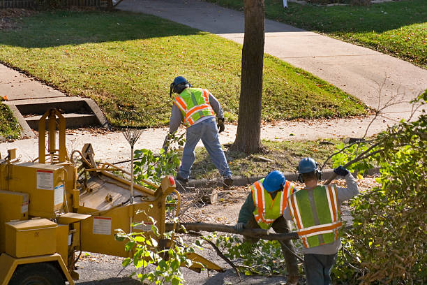 Best Lawn Irrigation Installation and Maintenance  in Oradell, NJ